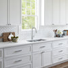 Colony® PRO Single-Handle Pull-Down Dual Spray Kitchen Faucet 1.5 gpm/5.7 L/min // STAINLESS STL // 153330_B-7077300.075_1_CDNwebp.webp