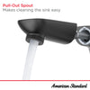 Aspirations Single-Handle Pull-Out Bathroom Faucet 1.2 gpm/4.5 L/min With Lever Handle // CHROME // 169478_Aspirations_Infographic_7061121_0003_AUG2023_CDNwebp.webp