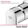 [7061461.295] Aspirations Single Handle Wall-Mount Faucet 1.2 gpm/4.5 L/min With Lever Handle - Brushed Nickel