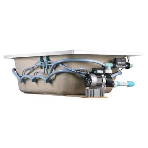 Tina con hidromasaje Everclean Whirlpool