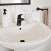 Colony® PRO Single Hole Single-Handle Bathroom Faucet 1.2 gpm/4.5 L/min With Lever Handle // MATTE BLACK // 186663_ColonyPro_EnvironmentCloseUp_7075100.243_0001_Oct2023_CDNwebp.webp