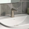 Aspirations Single-Handle Bathroom Faucet 1.2 gpm/4.5 L/min With Lever Handle //   BRUSHED NICKEL // 231974_Aspirations_EnvironmentCloseUp_7061101.295_0001_Nov2023_CDNwebp.webp