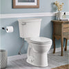 Champion® Slow-Close & Easy Lift-Off Elongated Toilet Seat // WHITE // 235590_Champion4_EnvironmentCloseup_767BA101.020_5321A65CT.020_0004_Dec2023_CDNwebp.webp