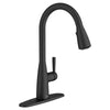 Fairbury® Single-Handle Pull-Down Dual Spray Kitchen Faucet 1.8 gpm/6.8 L/min With Lever Handle // MATTE BLACK // 60440_7418300243_1_CDNwebp.webp