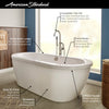 Cadet® 66 x 32-Inch Freestanding Bathtub With Polished Chrome Finish Filler and Drain Kit // ARCTIC // 67081_2019_AS_Cadet_FST_2764014M202_Info_F1_CDNwebp.webp