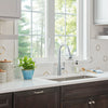 Fairbury® Single-Handle Pull-Down Dual Spray Kitchen Faucet 1.8 gpm/6.8 L/min With Lever Handle // CHROME // 78778_B-7418300002_CDNwebp.webp