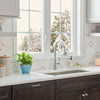 Fairbury® Single-Handle Pull-Down Dual Spray Kitchen Faucet 1.8 gpm/6.8 L/min With Lever Handle // CHROME // 78780_B-7418300002_1_CDNwebp.webp
